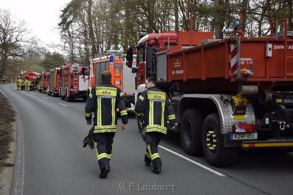 Waldbrand Wahner Heide Troisdorf Eisenweg P249.JPG - Miklos Laubert